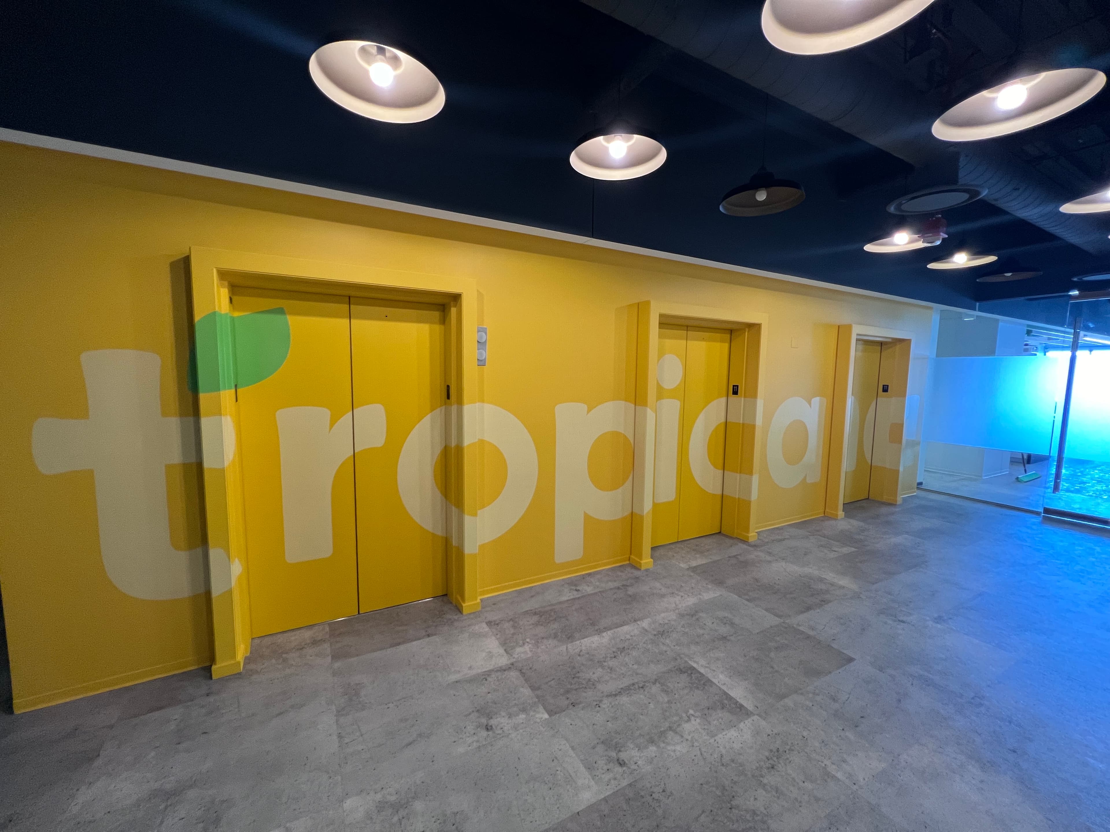 Elevator lobby wall graphic